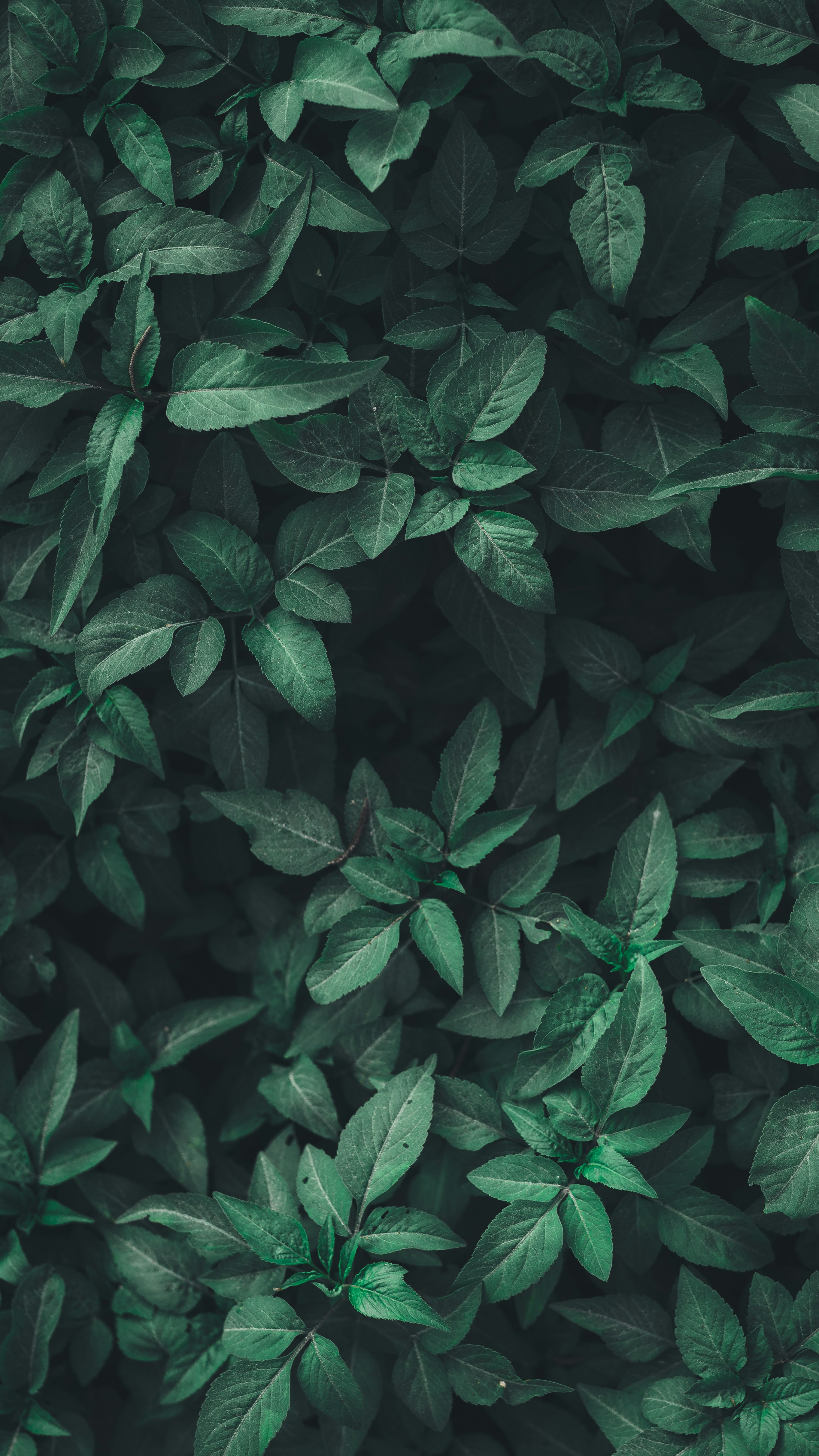 Sustentabilidade: Redução de Resíduos na Obra